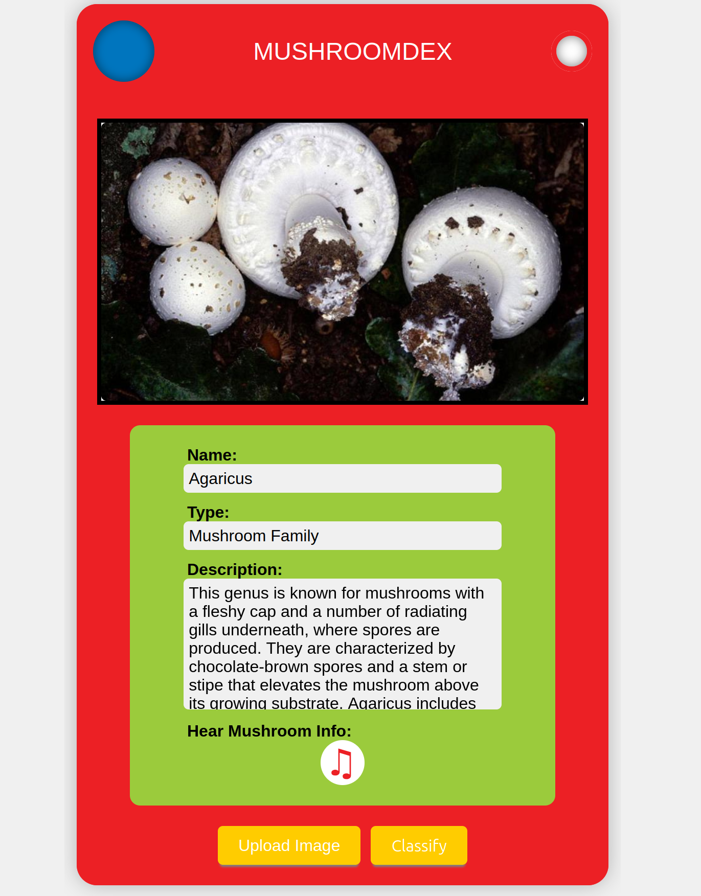 Mushroom Classification Project